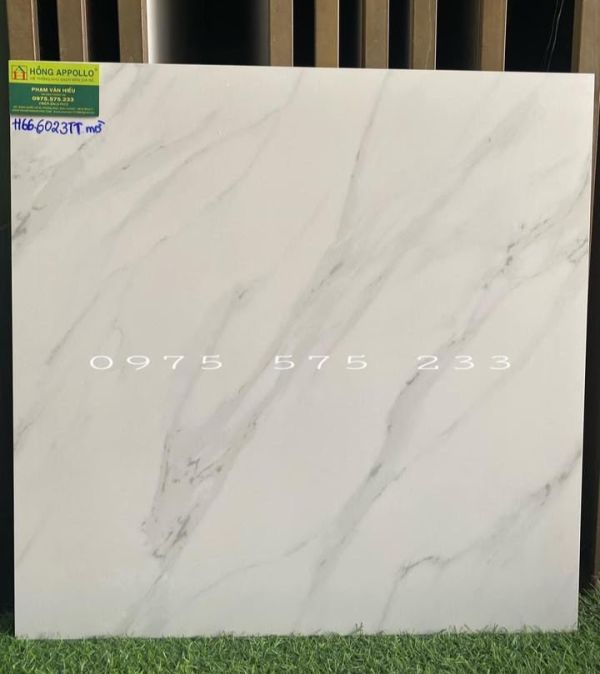 Gạch trắng mờ vân khói 60x60 hãng ấn độ tốt nhất 3875