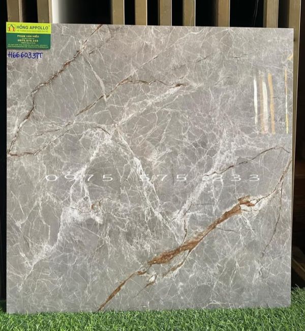 Gạch màu đẹp 60x60 ấn độ mẫu bóng kiếng mới nhất 3876