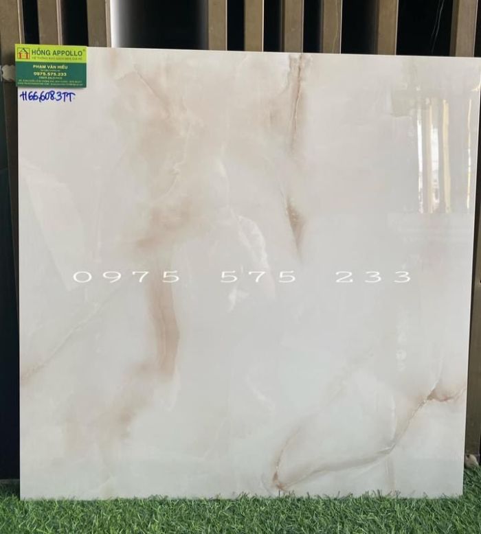 Gạch lát nền ấn độ 60x60 mẫu mới đẹp giá tốt nhất thị trường tphcm 3878