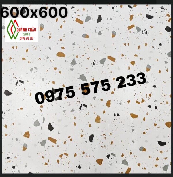 Gạch lát nền 60x60 vân đá hạt terrazzo to lớn 4119