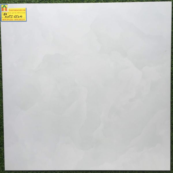 Gạch granite 60x60 tasa bóng kiếng 6504GH 2469