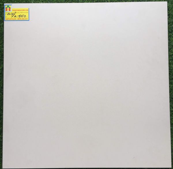 Gạch lát nền prime 60x60 đá mờ 9750YA 2451