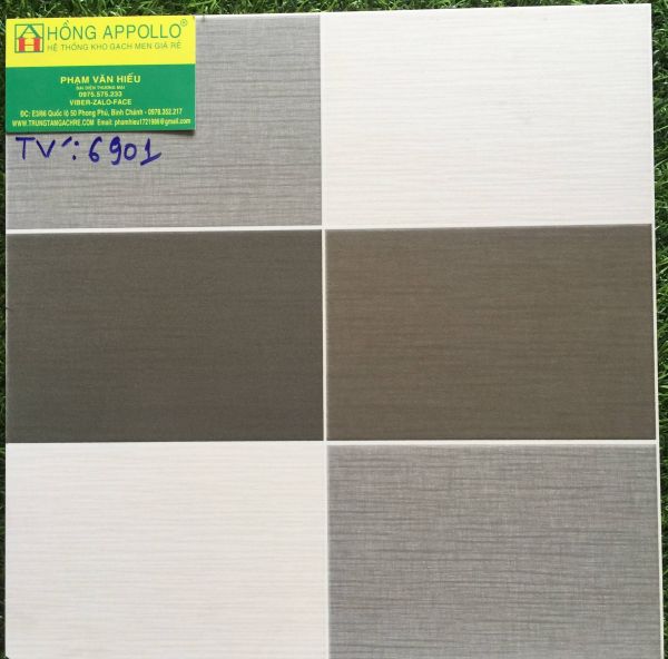 Giá gạch 30x30 nhập khẩu đẹp cao cấp TV6901