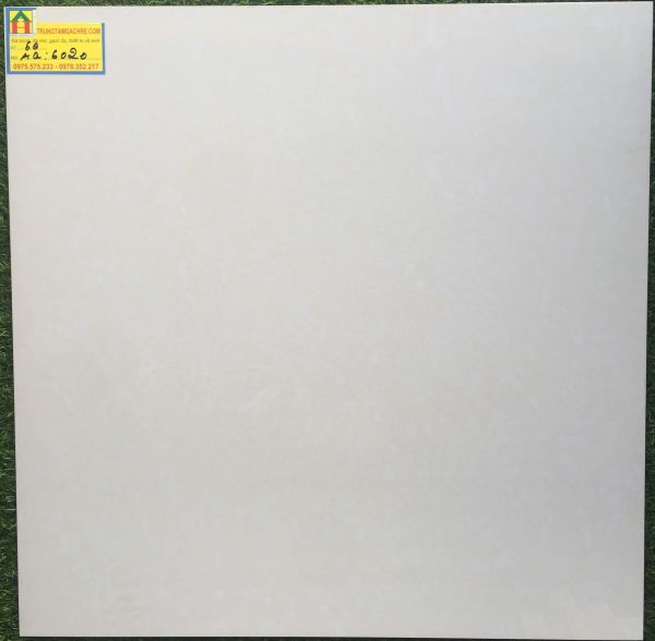 Gạch lát nền 60x60 bóng kiếng MIKADO 6020AQ 2463