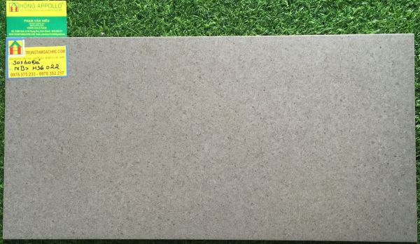 Gạch đá granite 30x60 bạch mã cao cấp H36022