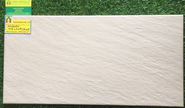 Gạch đá granite 30x60 cao cấp MB3602