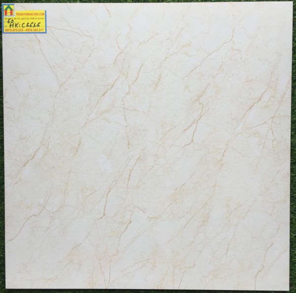 Gạch lát nền MIKADO 60x60 bóng kiếng C6616HK 2423