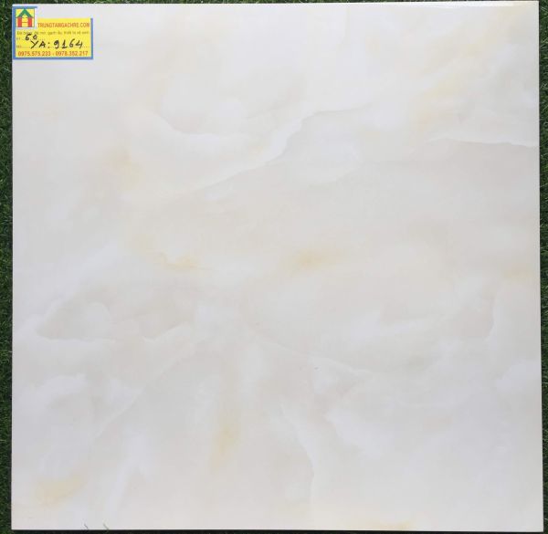 Gạch prime 60x60 bóng kiếng 9164YA 2459