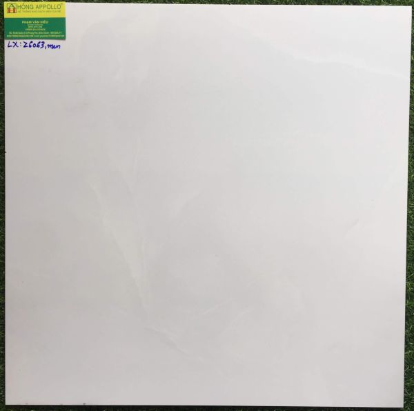 Gạch 60x60 lát nền prime Z6063LX 2552