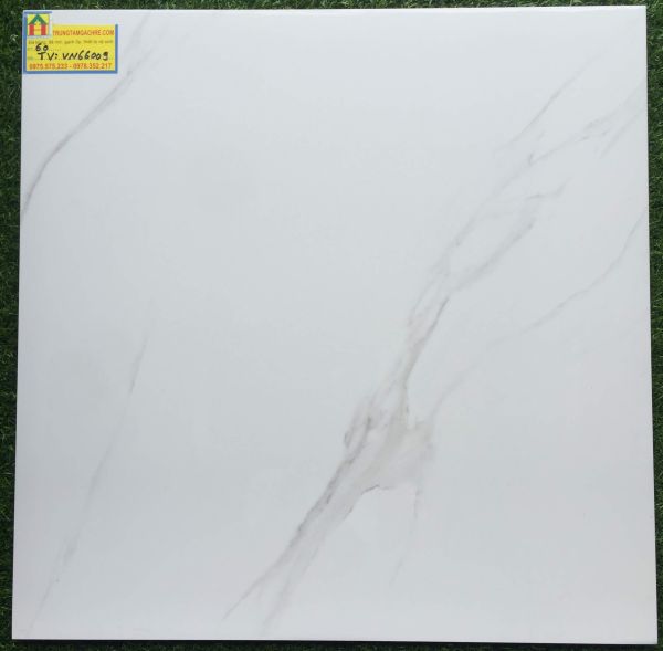  Gạch lát nền 60x60 bóng kiếng 66009TV 2481