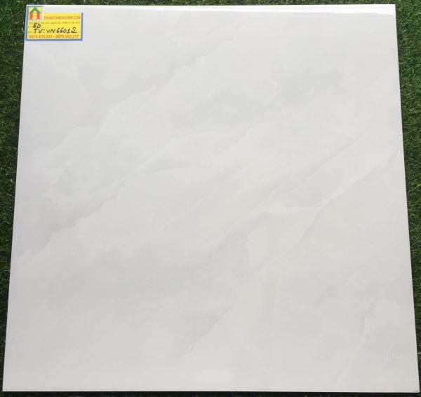 Gạch lát nền 60x60 bóng kiếng 66012TV 2482