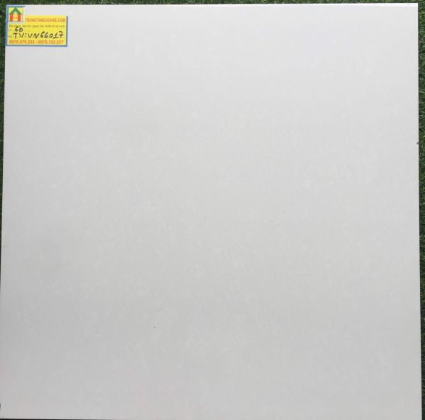 Gạch lát nền 60x60 bóng kiếng 66017TV 2483