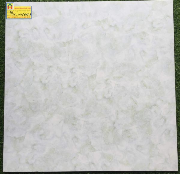 Gạch lát nền 60x60 bóng kiếng 66016TV 2486