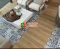 Gạch bông hoa văn 60x60 đẹp rẻ nhất 3004