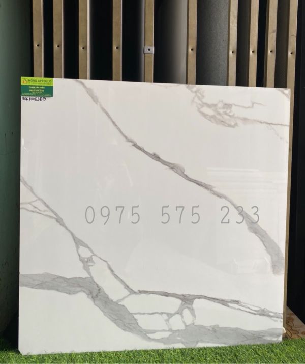 Gạch nhập khẩu bóng kính 80x80 ấn độ giá rẻ uy tín chính hãng 3771