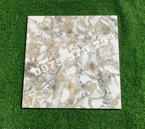 Gạch lót nền 60x60 ấn độ vân đá mới nhất đẹp 3841