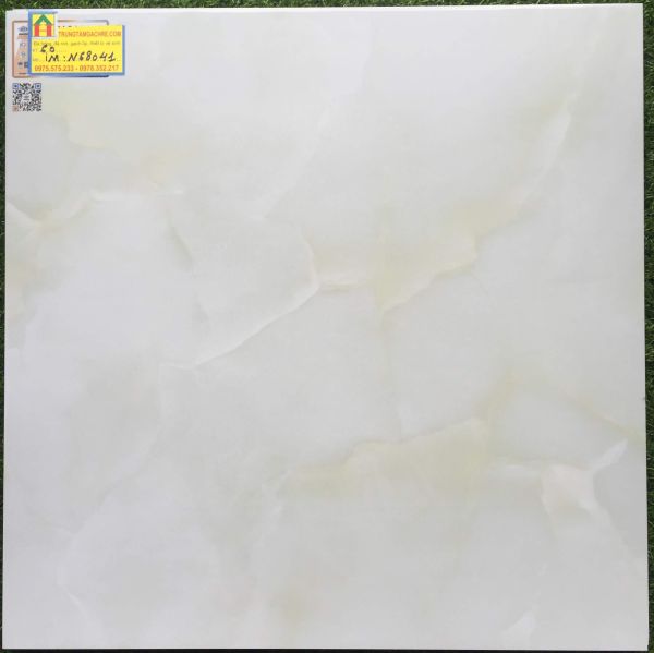 Gạch bóng kiếng ý mỹ 60x60 cao cấp N68041 2491