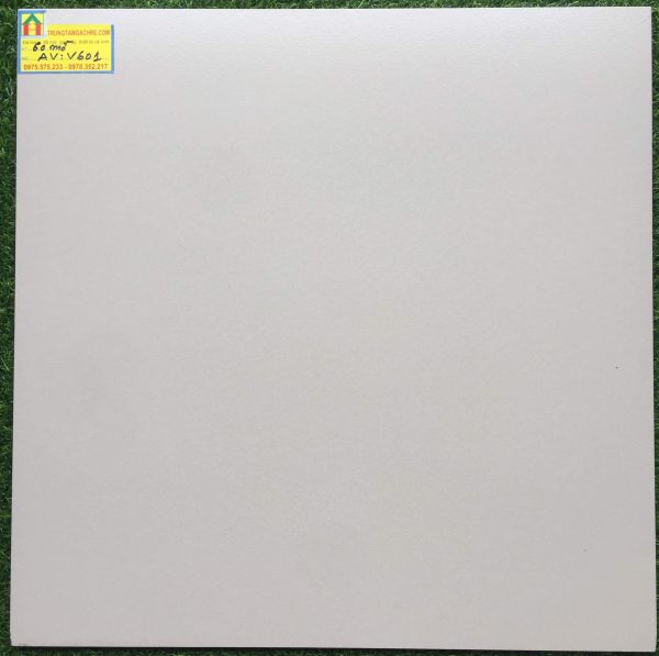 Gạch granite mờ 60x60 cao cấp 601AV 2431