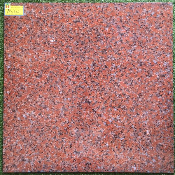 Gạch  lát nền 80x80 trung quốc D816