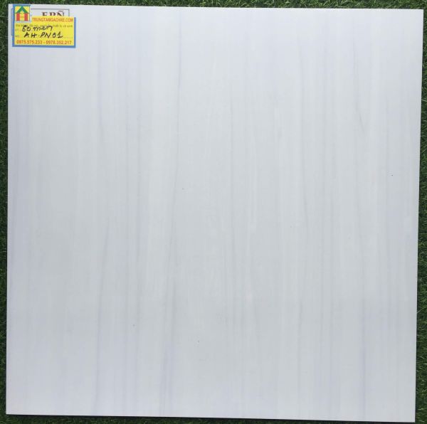 Gạch lát nền ceramic 60x60 PN01 2440