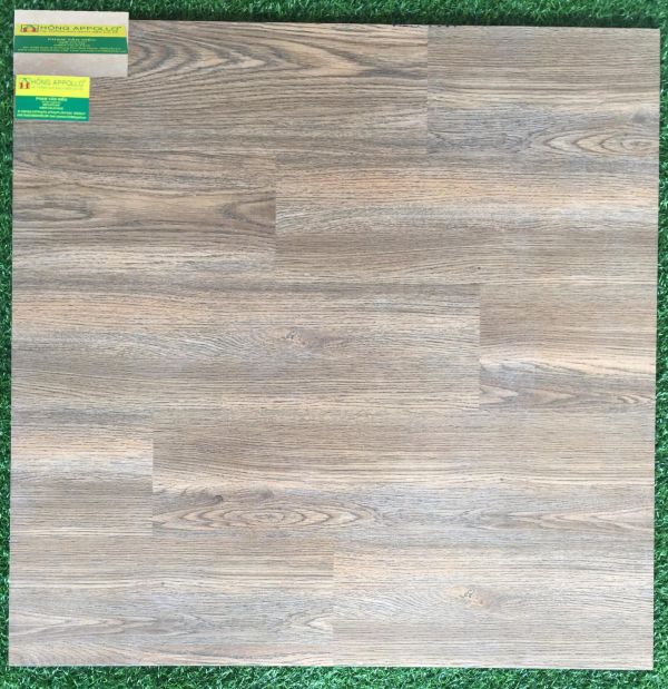 Gạch lát nền giả gỗ 80x80 tasa cao cấp ,8031 2164