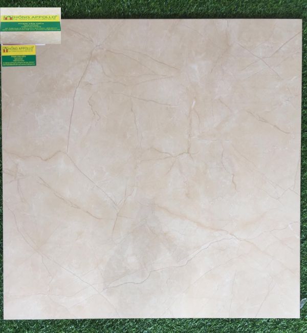 Gạch bóng kiếng tasa 80x80, 8056 2170