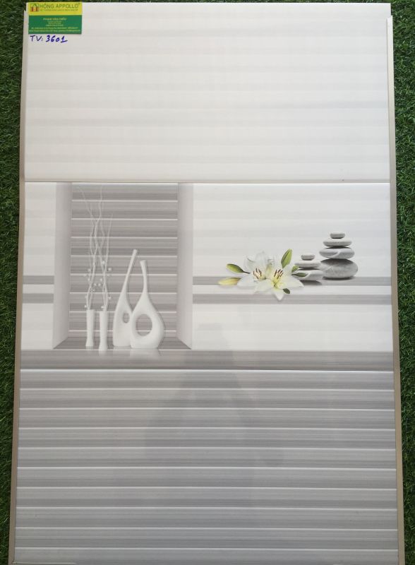 Gạch ốp tường 30x60 BNC đẹp 3601TV 2614