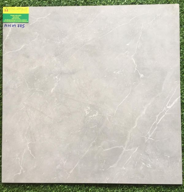 Gạch bóng kiếng 60x60 vitto  775 2213