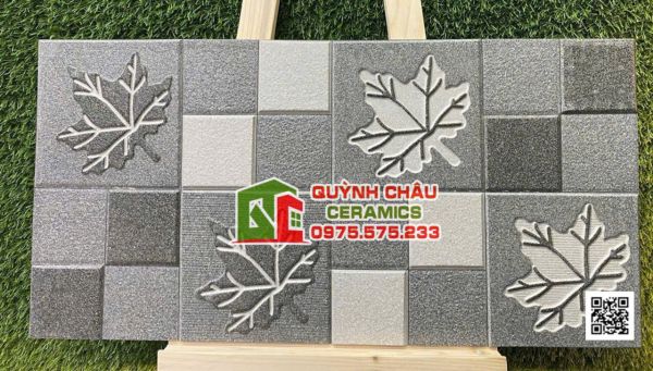 Gạch ấn độ trang trí 30x60 khuôn nổi