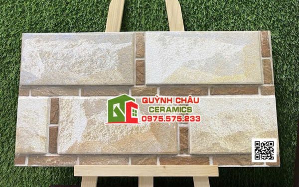 Gạch khuôn nổi 3D 30x60 ốp tường trang trí ấn độ