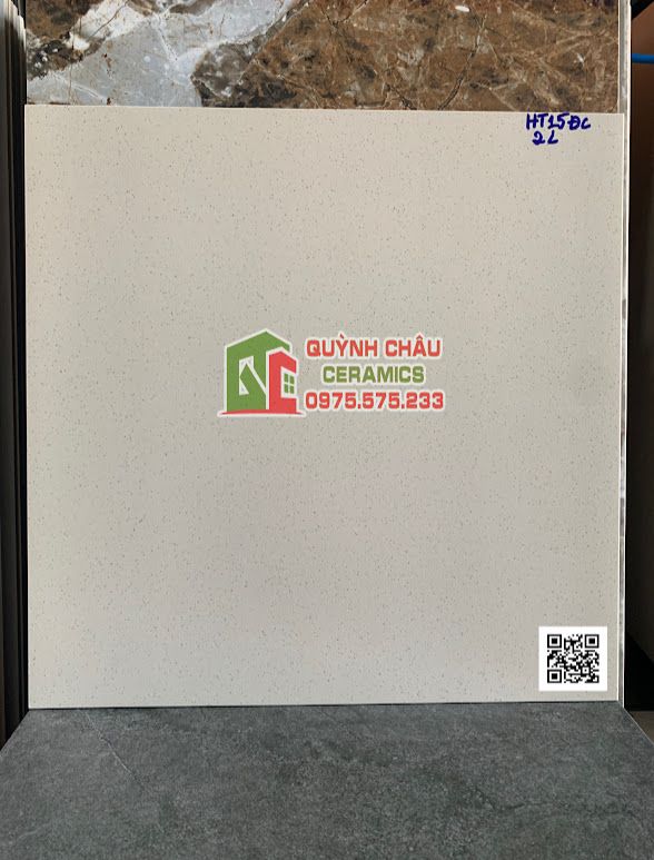 Gạch lát nền taicera 60x60 đá mờ trắng muối tiêu   