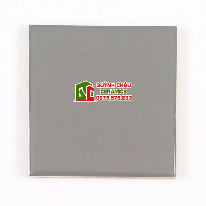 Gạch thẻ 20x20cm màu xám bóng