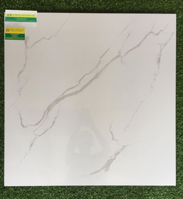 Gạch bóng kiếng 80x80 tasa , 8051 2171