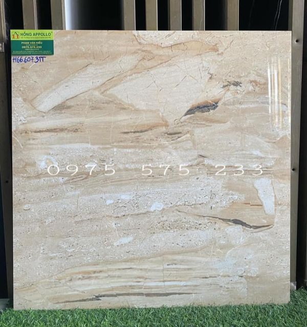 Gạch lát nền ấn độ 60x60 màu kem vân đá mẫu mới đẹp siêu bóng 3877