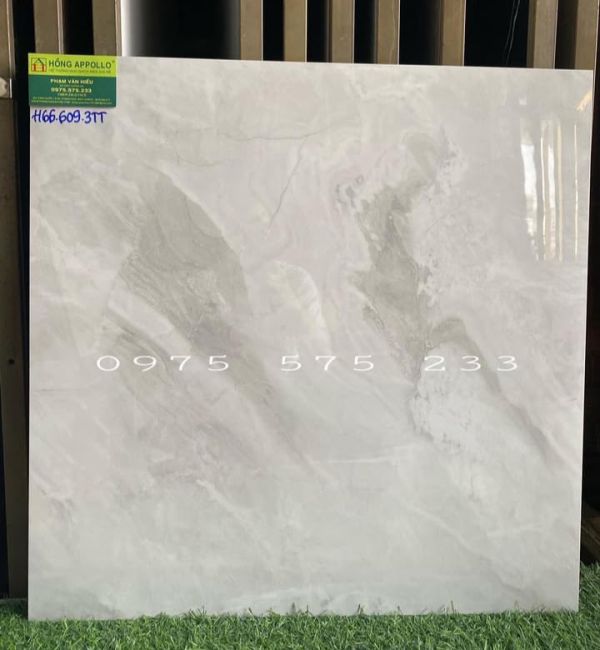 Gạch ấn độ 60x60 mẫu đẹp mới gạch cao cấp giá rẻ hcm 3879