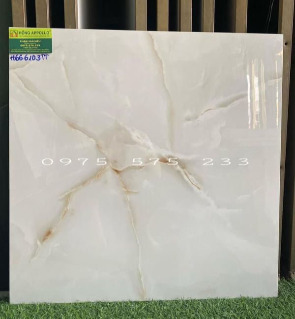 Gạch cao cấp 60x60 thế giới gạch ấn độ chính hãng chất lượng 3880