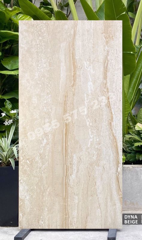 Đại lý chuyên bán gạch nhập khẩu 80x160 ấn độ mẫu đẹp chất lượng chính hãng 3920