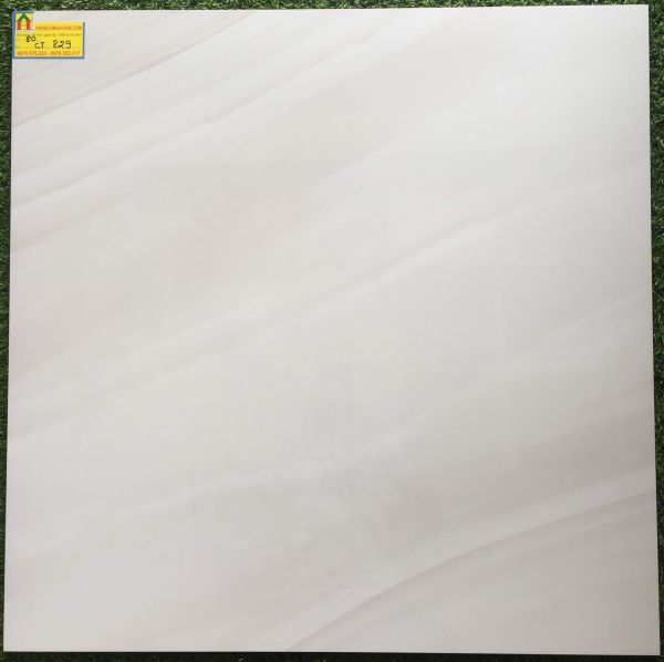 Đá bóng kiếng 80x80 á mỹ 829 2321