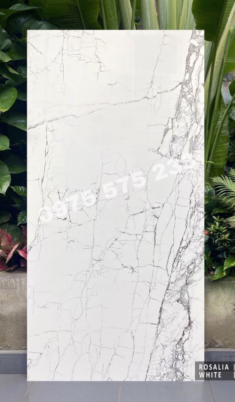 Cung cấp bán gạch nhập khẩu chính hãng 80x160 cho các công trình 3923