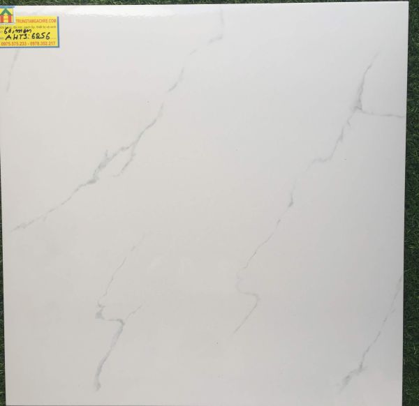 Gạch ceramic 60x60 tasa 6256GH 2465