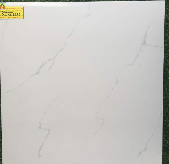 Gạch ceramic 60x60 tasa 6256GH 2465