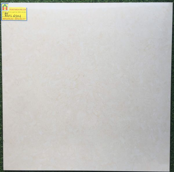 Gạch lát nền tasa 60x60 bóng kiếng 6501GH 2466