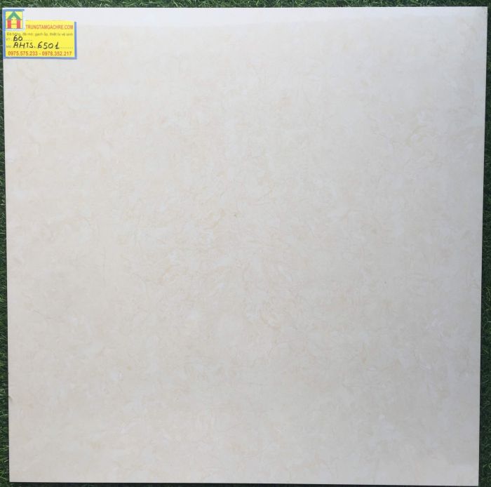 Gạch lát nền tasa 60x60 bóng kiếng 6501GH 2466