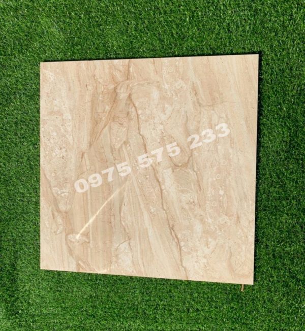 Gạch nhập ấn độ 60x60 bền màu bóng kính cao cấp 3835