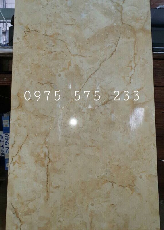 Đại lý bán gạch nhập khẩu 60x120 nhũ vàng trung quốc chính hãng cao cấp 27