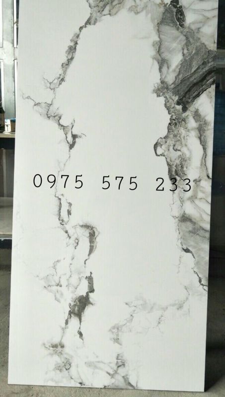 Gạch khổ lớn 60x120 nhũ bạc trắng vân xám đen cực đẹp cao cấp 33