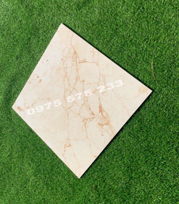 Gạch nhập khẩu lát nền 60x60 hàng ấn độ tại hà nội 3836