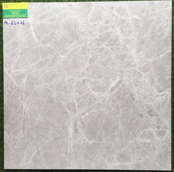 Gạch lát nền 60x60 cmc bóng kiếng toàn phần AC65016 2977