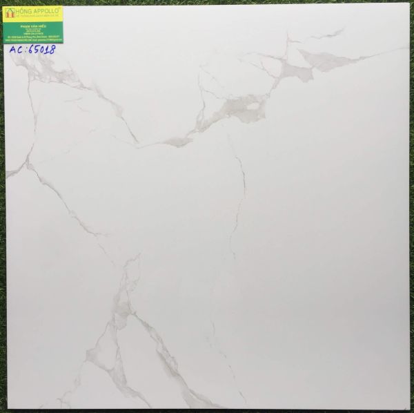 Gạch lát nền 60x60 trắng vân mây cmc AC65018 2978