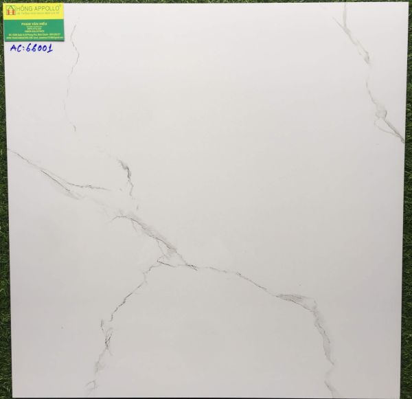 Gạch lát nền 60x60 trắng vân mây cmc AC66001 2979